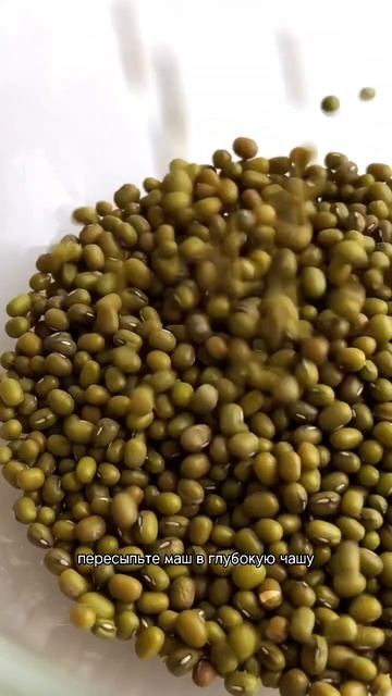 Как прорастить машНюансы в комментариях.