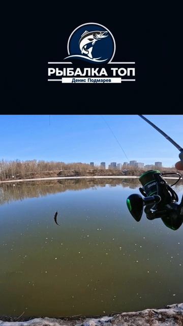 Окунь на НаноДжиг 😊 #рыбалка #кайф #природа