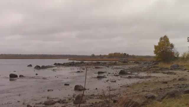 ПОЛНАЯ СЕТКА РЫБЫ! ВЫПУТЫВАЮ СРАЗУ И ЖДУ СЛЕДУЮЩУЮ ПАРТИЮ!