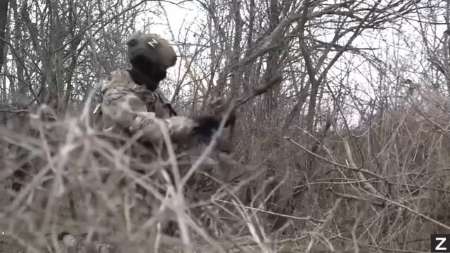 РУССКИЕ ШТУРМЫ  песни СВО