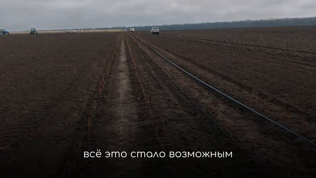 Высаживаем сады для «Садов Ставрополья»