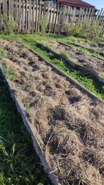 Перестань полоть