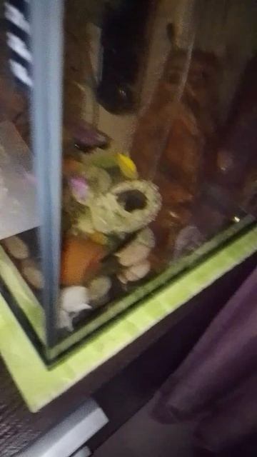 мой морской мир