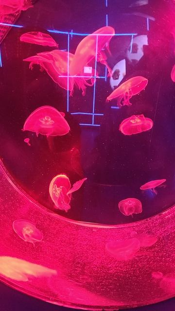 Красота🫣🤗🤗🤗