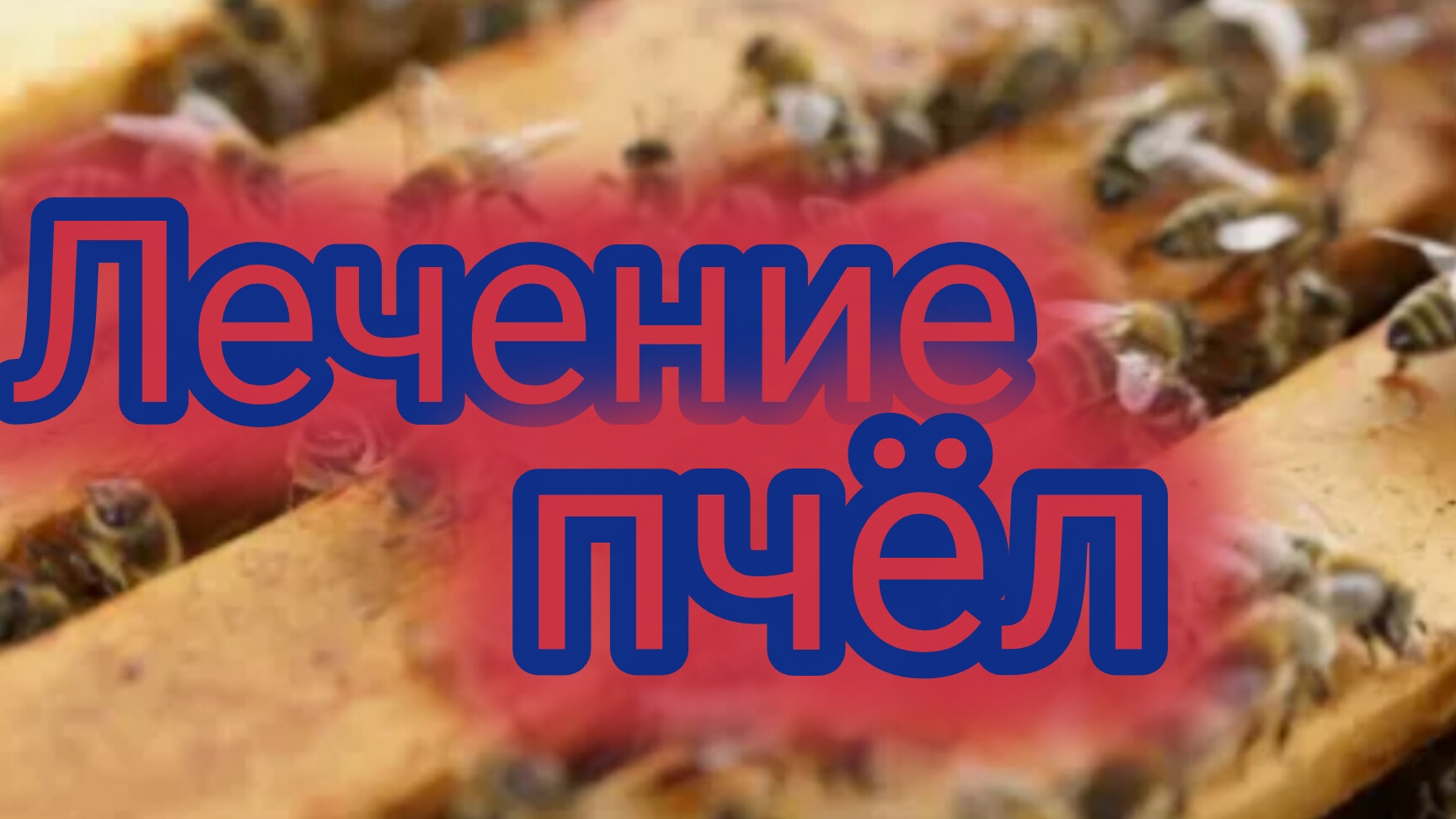 Лечение пчёл 🐝