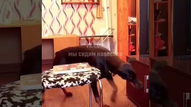 А так можно было🤔))