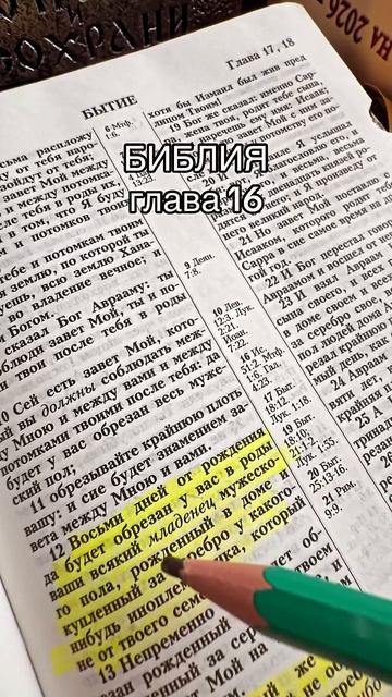 Присоединяйся: здесь проходят занятия по изучению Священного Писания🙏