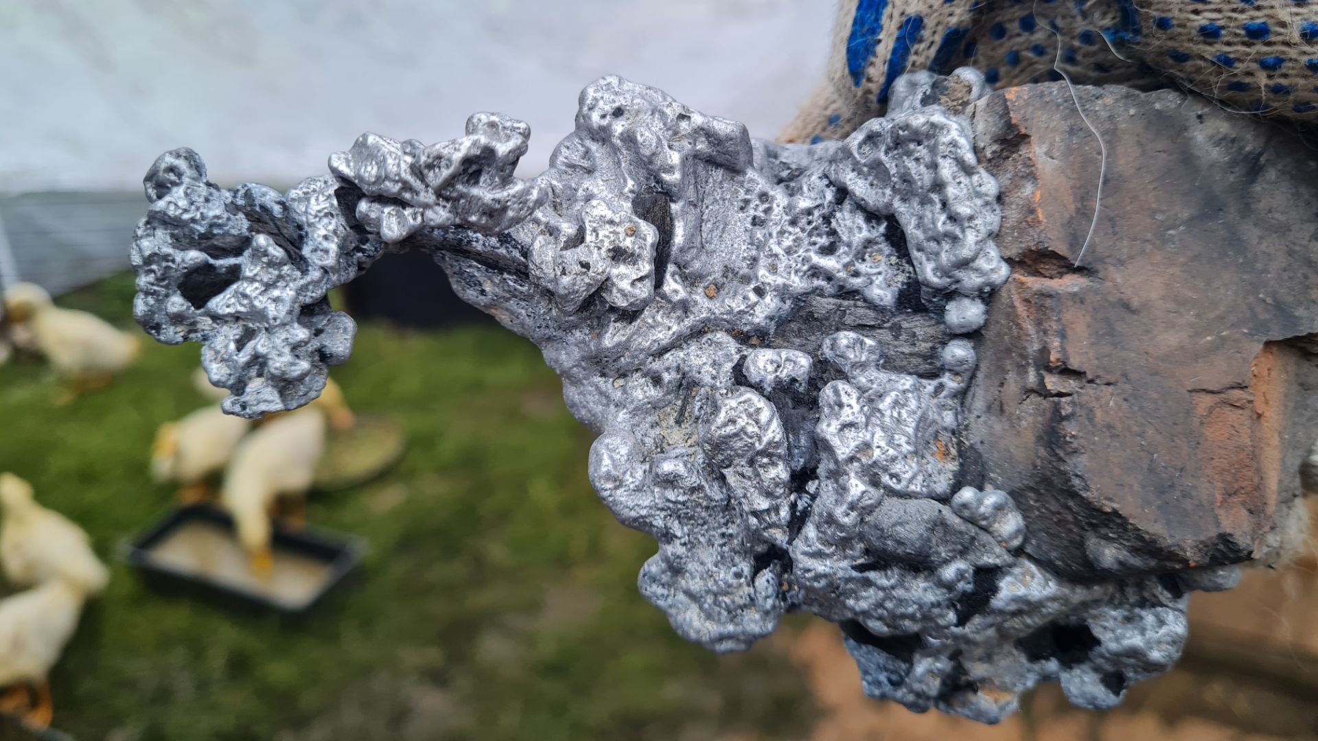 сдаем металл 2024