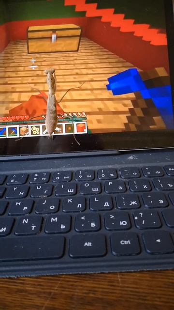 Олимпийский чемпион по прыжкам Евгений что тут вообще на фоне делают Лёня и Владус