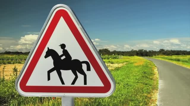 Мультики для детей. Яркие мультики. Детские мультики смотреть.👍🔥🐝🕷