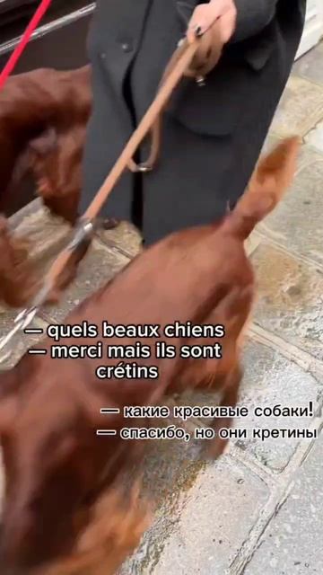 Video_2026-02-21_13-46-31