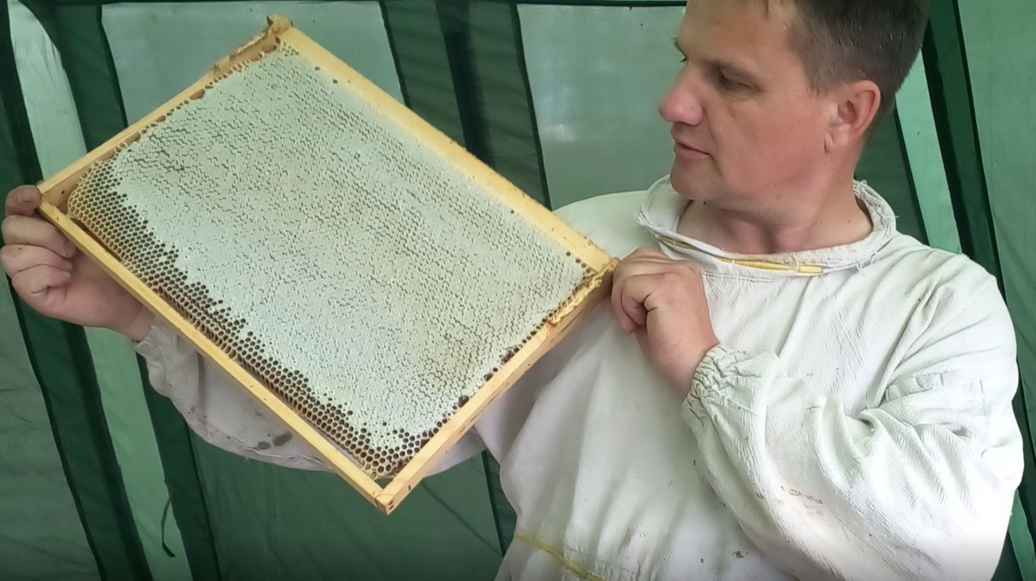 Пасека перед грозой