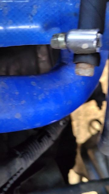 Compress_1776443543498.mp4