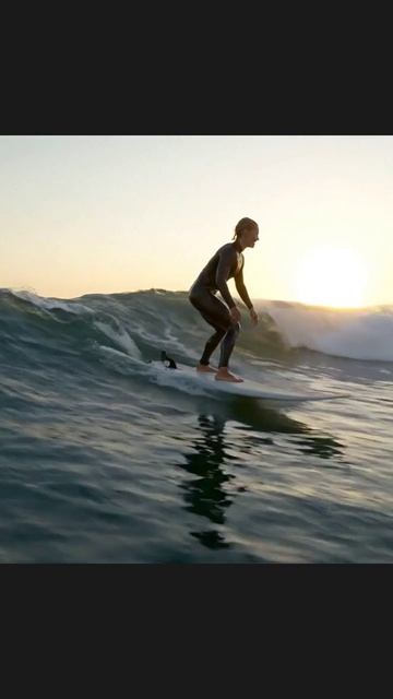 Серфинг #спортивные_успехи #поздравления #активный_отдых #пляжный_отдых #открытия