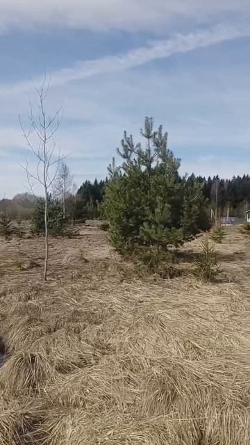 д. Бурмакино 50:18:0050410:990