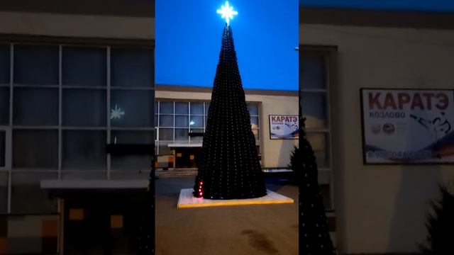 Приобретение новогодней ели с комплектом освещения для установки в пгт Козлово Конаковского м/о
