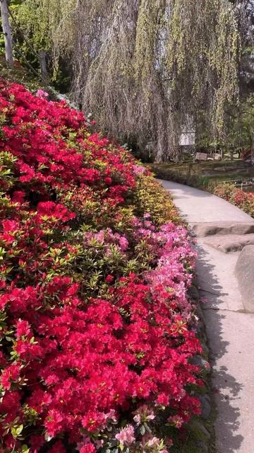 Самый красивый сад в Европе