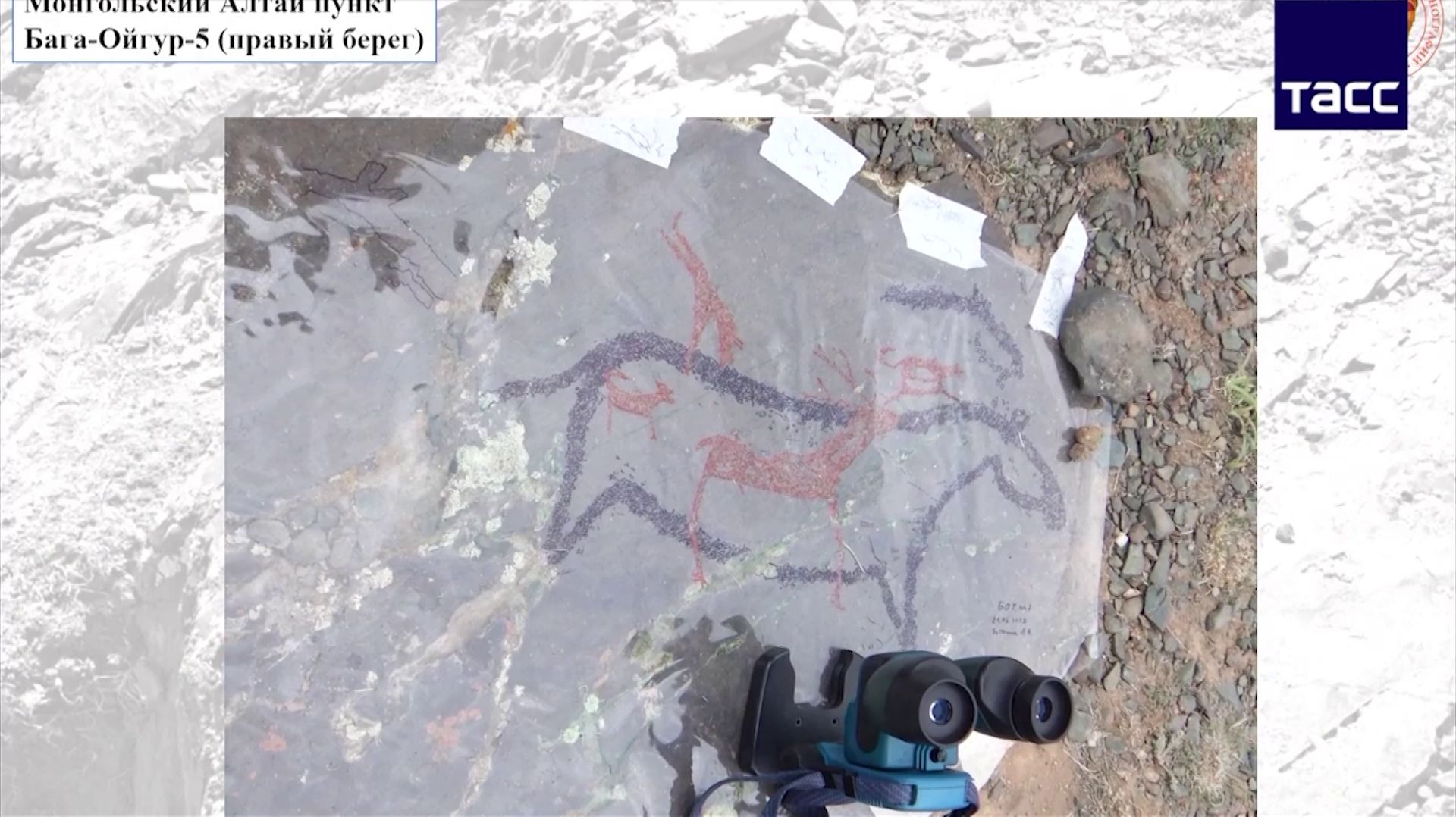 Учёные доказали: на Алтае 14 000 лет назад был свой стиль живописи