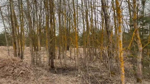 д Новочеркасское