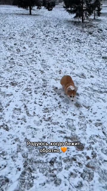 Снег в апреле? И такое бывает