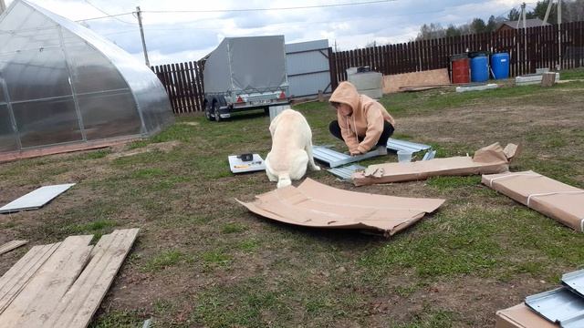 Моя Жизнь в Деревне,  Сборка грядки для теплицы , с Помощником