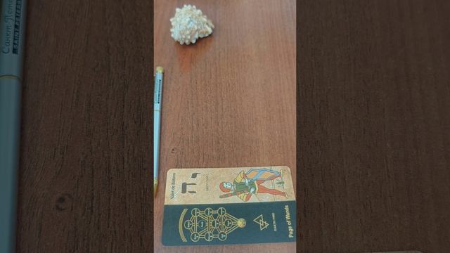 🤩🌺✅ Окружающие думают о ТЕБЕ ЭТО... #ТАРО #ГАДАНИЕ #РАСКЛАДОНЛАЙН