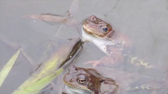 И у нас весна