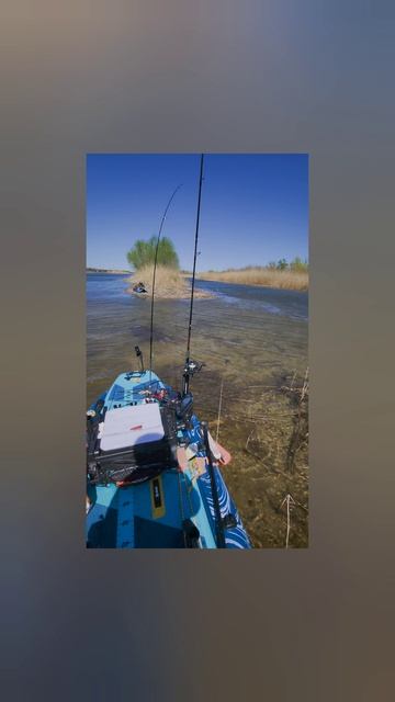 сапкаяк рыбаловный обзор 
#сапкаяк #рыбалка #обзор