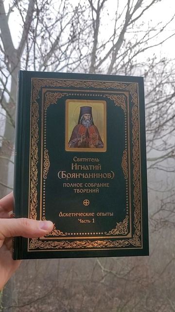 Полное собрание творений и писем святителя Игнатия (Брянчанинова) в 8 томах.