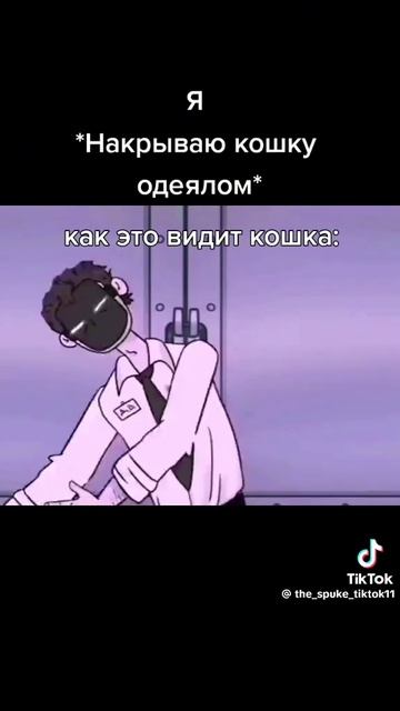 что видит кошка