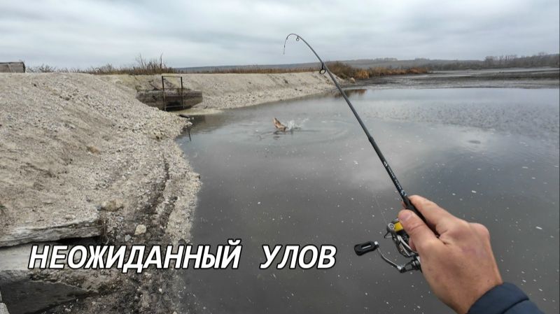 рыбалка на мормышку.такую рыбешку на мормо я еще не ловил