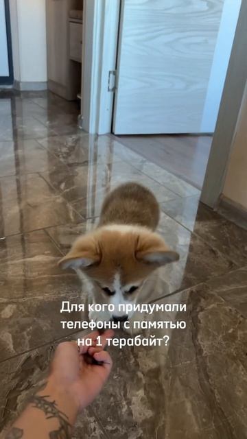 Слишком жизненно