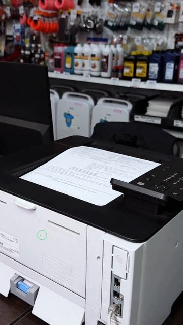 Пальмы, море, сторис — всё красиво...