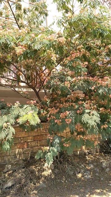 Красивая гостиница Сервет в старинном турецком стиле, в Судаке на Чёрном море