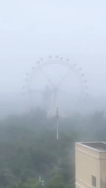 Сильный ветер