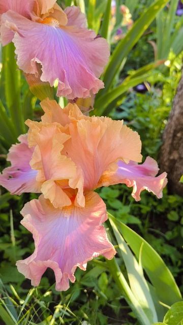 Потеряшка.mp4