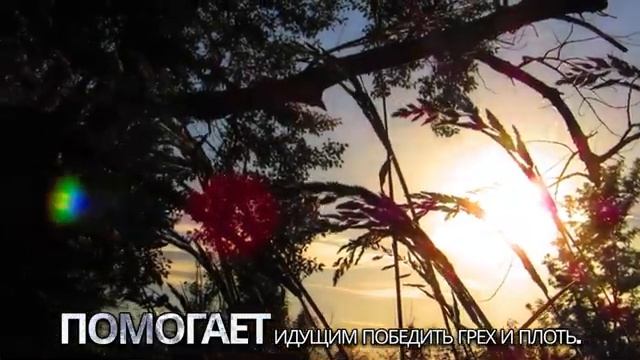 🎶СЛАВА БОГУ ЗА МИЛОСТЬ🕊🙏