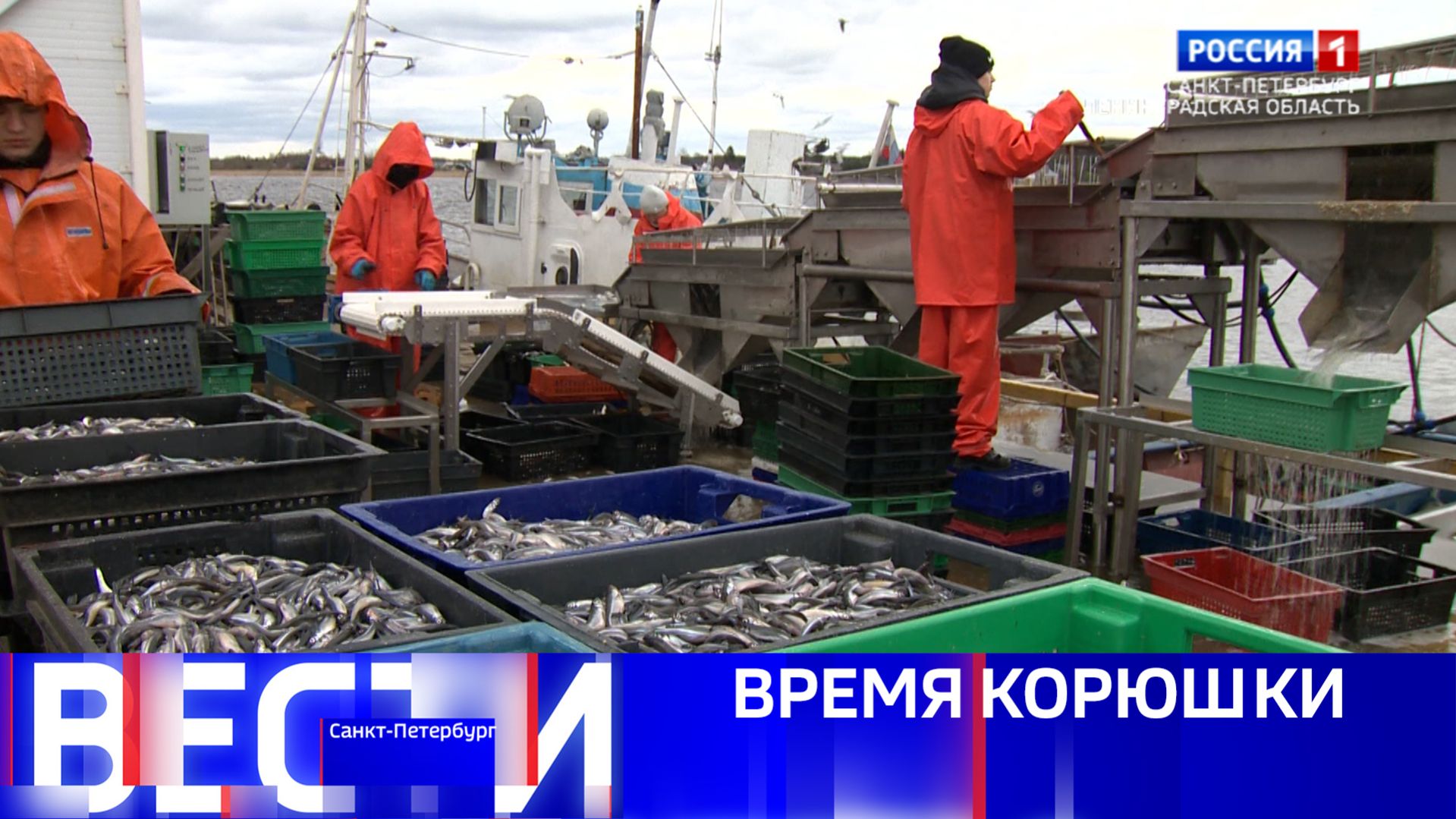 Вести Санкт-Петербург. Выпуск 11.30 от 17.04.2026