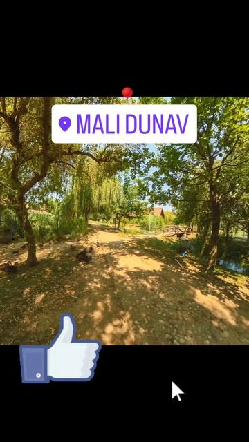 Mali Dunav Centar Za Posetioce - Visitor Center Mali Dunav T#travel #balkantrip #touristattraction