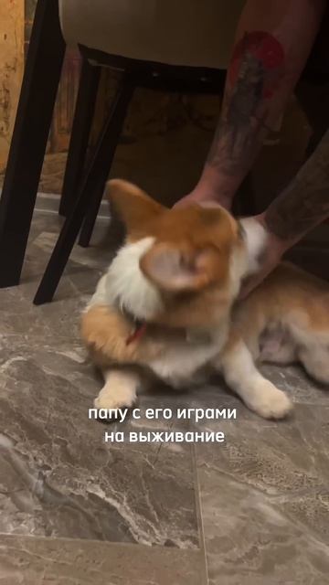 Подписывайся, чтобы не потерять Коржа