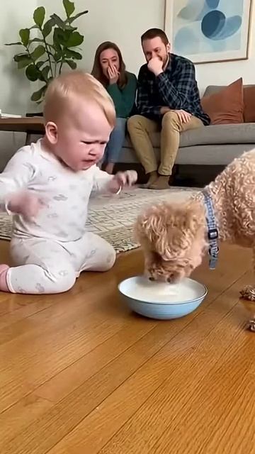 Это мое молоко!!!