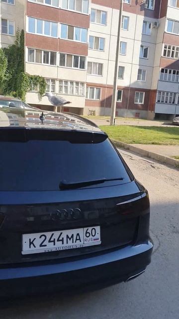 25 июля 2024 г.