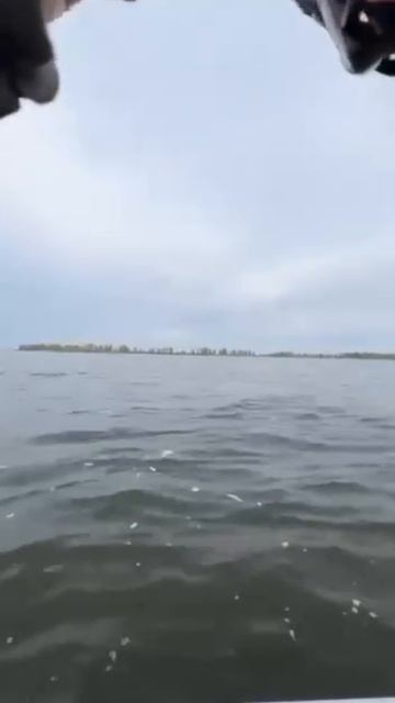 Рыбалка по открытой воде на балансир