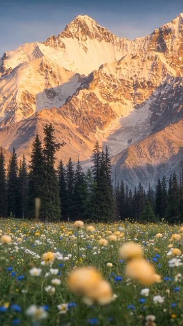 #katyboro #видеооткрытка      #рекомендации #врек #топ #врекомендации