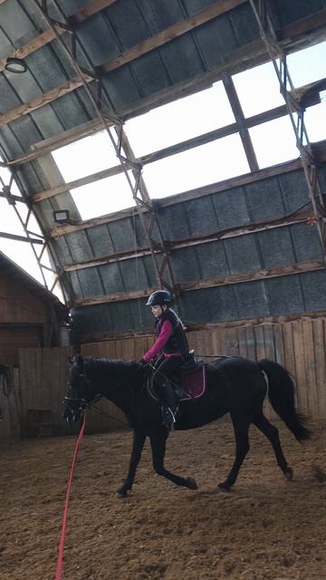 Аня и Наоми, строевая рысь на корде в манеже.