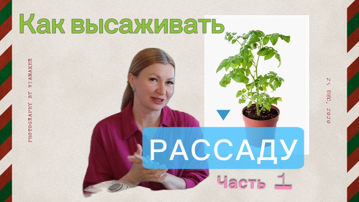 Высаживаем рассаду вместе. ЧАСТЬ 1.