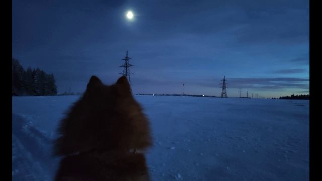 Ш. Бодлер. Взаимосвязь. Пер. Б. Кригера