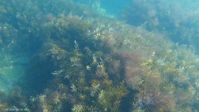 Анапа 17.04.2026 про Море