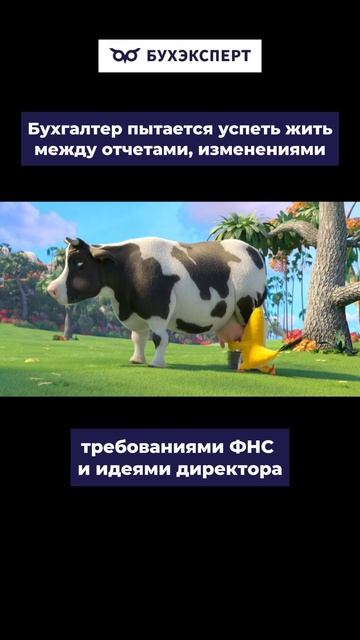 Бухгалтер пытается успеть жить
