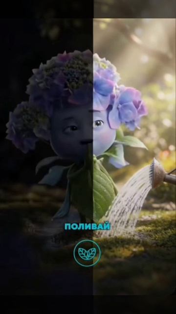 Заметки цветоводам 🤗